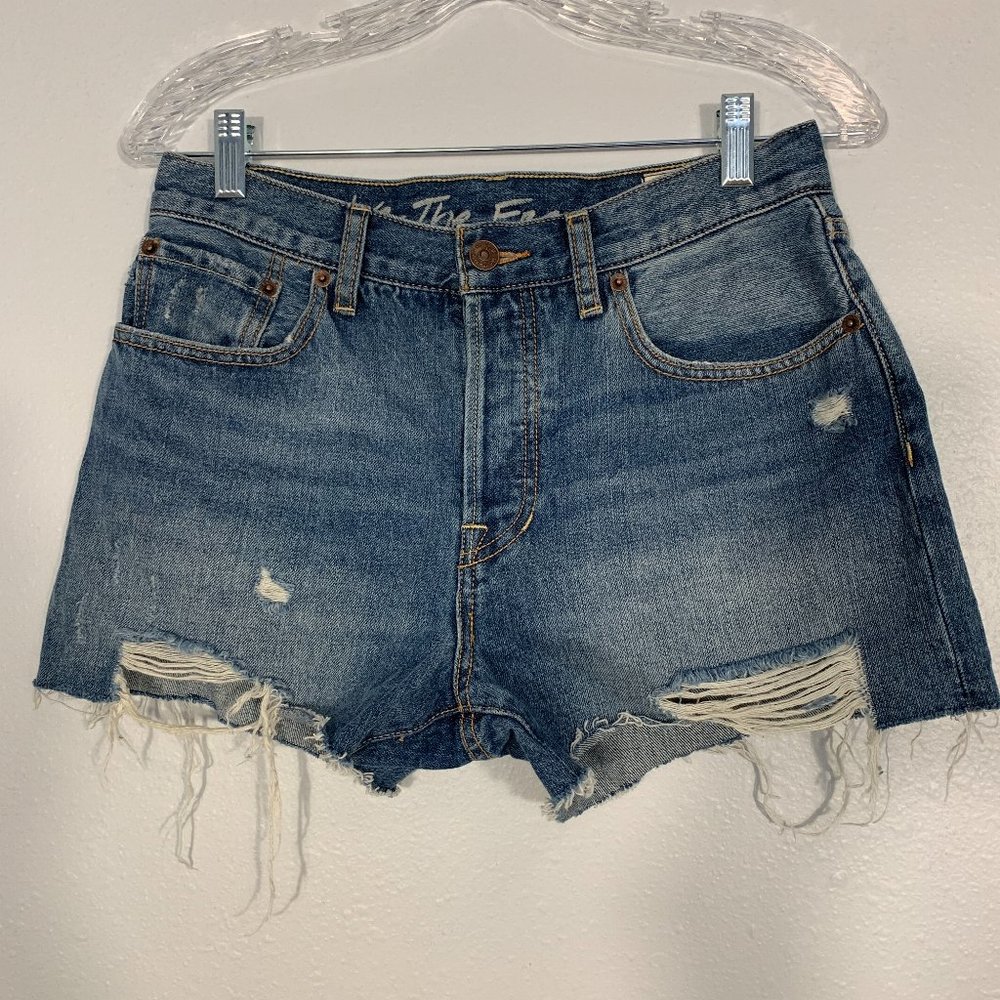 We The Free Distressed Denim Shorts